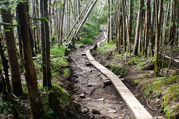 P1090699.jpg P1090699.jpg