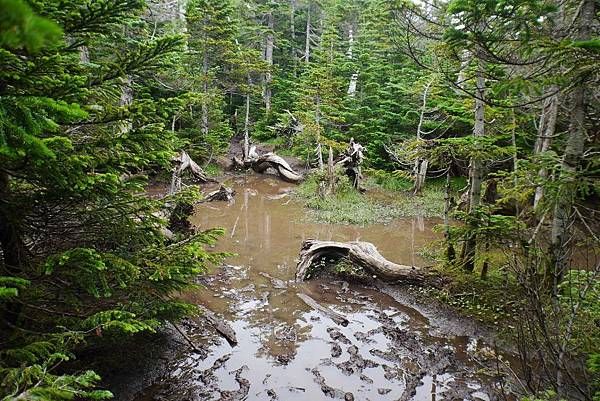 P1090709.jpg P1090709.jpg