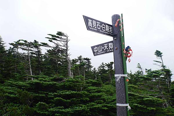 P1090707.jpg P1090707.jpg