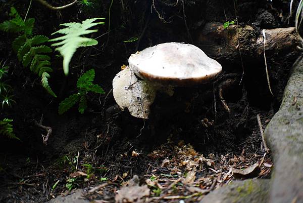 P1090710.jpg P1090710.jpg