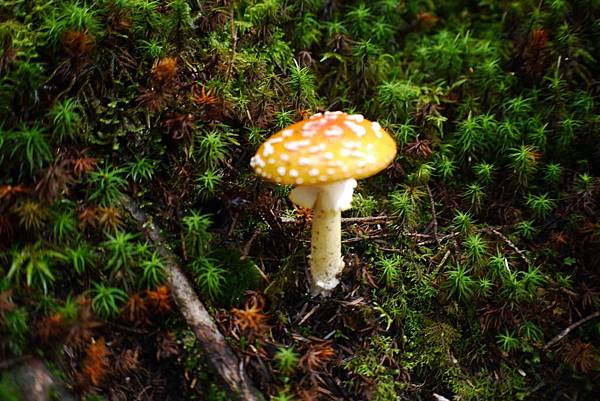 P1090715.jpg P1090715.jpg