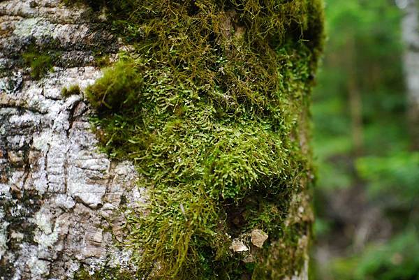 P1090721.jpg P1090721.jpg