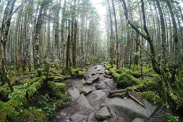 P1090717.jpg P1090717.jpg