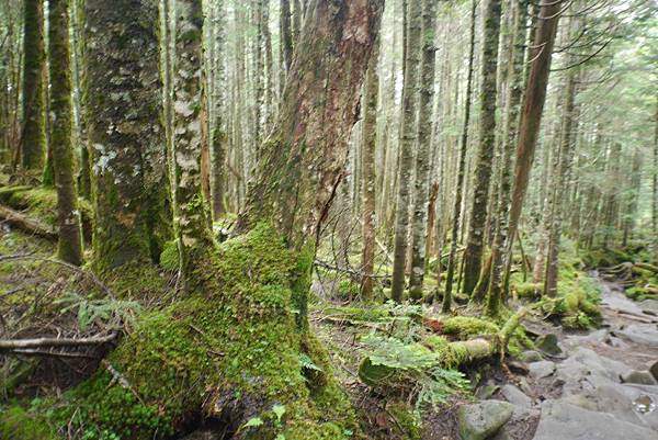 P1090724.jpg P1090724.jpg