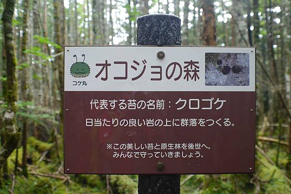 P1090728.jpg P1090728.jpg