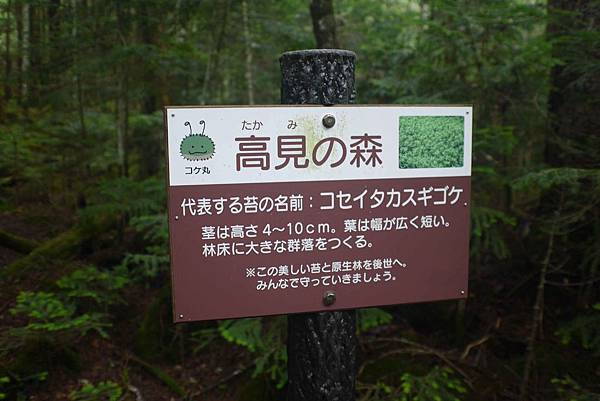 P1090744.jpg P1090744.jpg