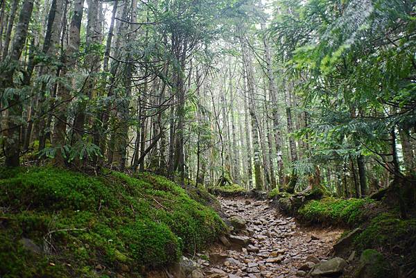 P1090529(001).jpg P1090529(001).jpg