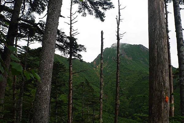 P1090531(001).jpg P1090531(001).jpg