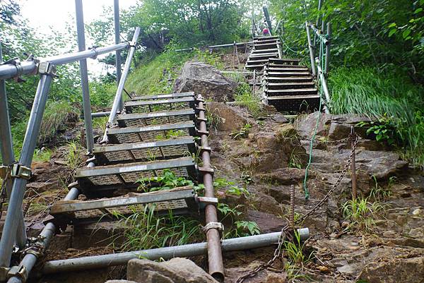 P1090532(001).jpg P1090532(001).jpg