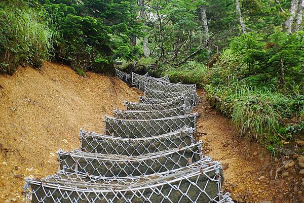 P1090533(001).jpg P1090533(001).jpg