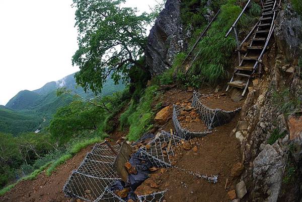 P1090534(001).jpg P1090534(001).jpg