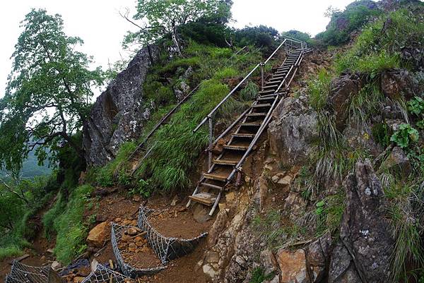 P1090535(001).jpg P1090535(001).jpg