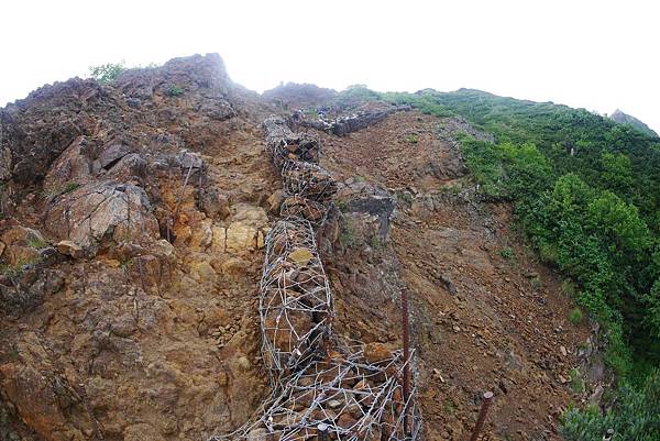 P1090539(001).jpg P1090539(001).jpg