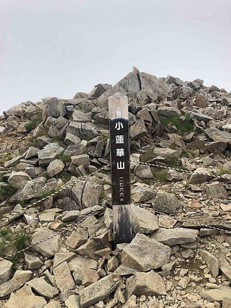 IMG_3510.jpg IMG_3510.jpg