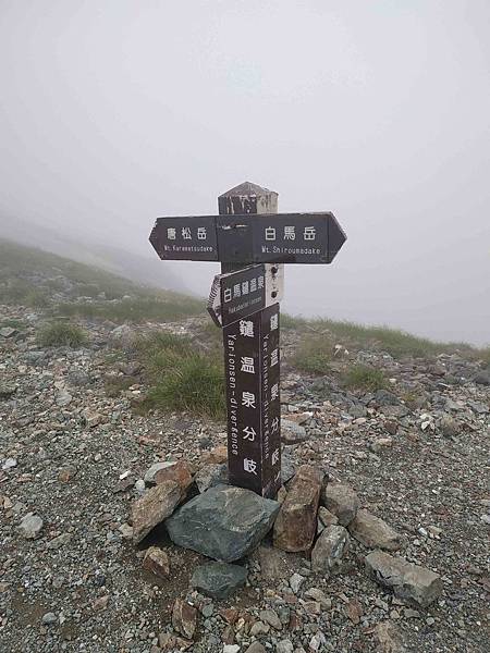 IMG_20190727_150359.jpg IMG_20190727_150359.jpg