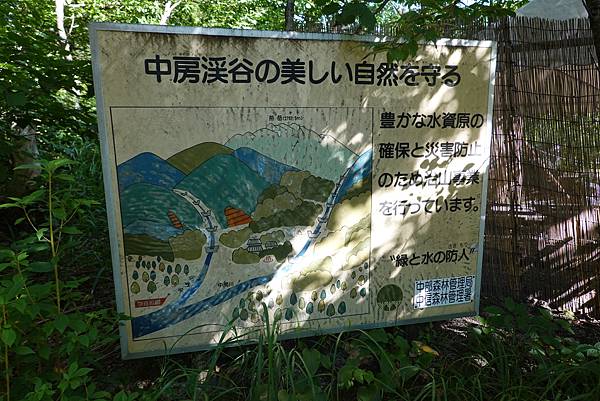 DSC00785.JPG DSC00785.JPG