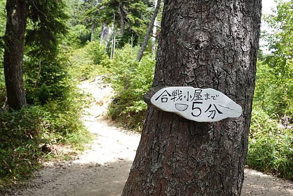 DSC00793.JPG DSC00793.JPG