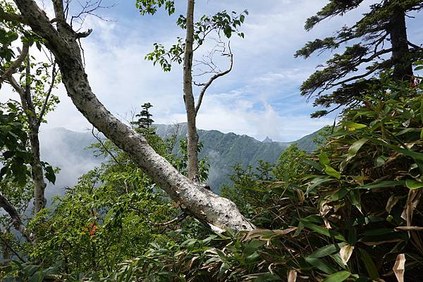 DSC00805.JPG DSC00805.JPG