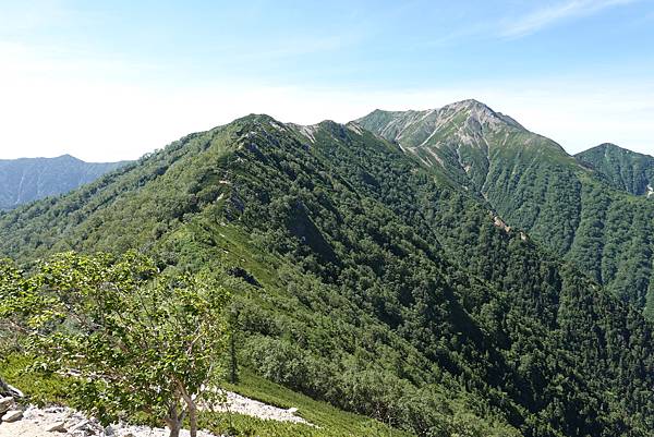 DSC01003.JPG DSC01003.JPG