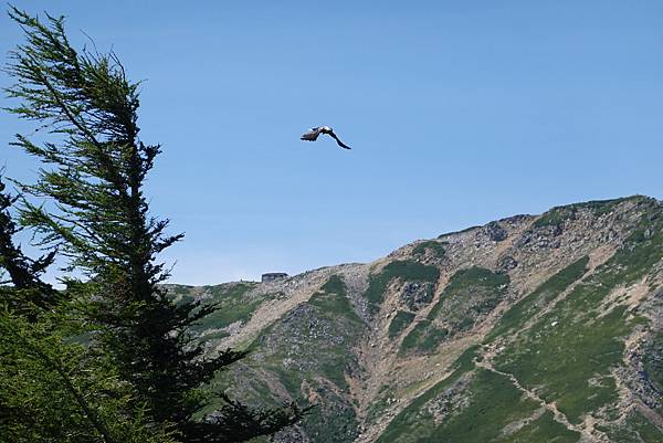 DSC01009.JPG DSC01009.JPG