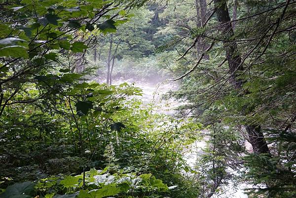 PhotoCap_026.jpg PhotoCap_026.jpg