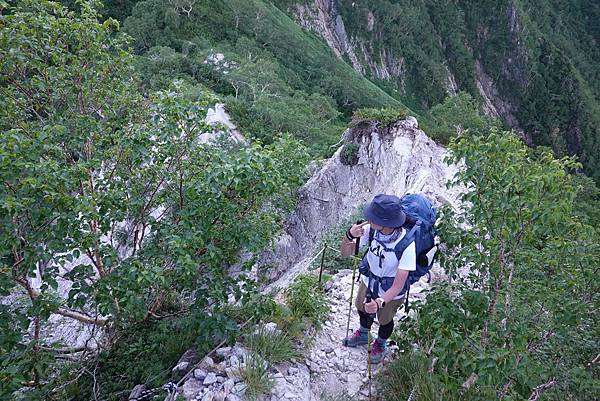 PhotoCap_005.jpg PhotoCap_005.jpg