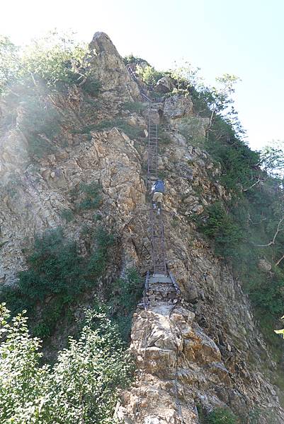 DSC01165.JPG DSC01165.JPG