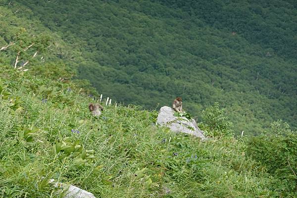 DSC01279.JPG DSC01279.JPG