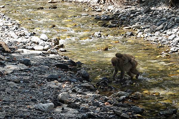 DSC01330.JPG DSC01330.JPG