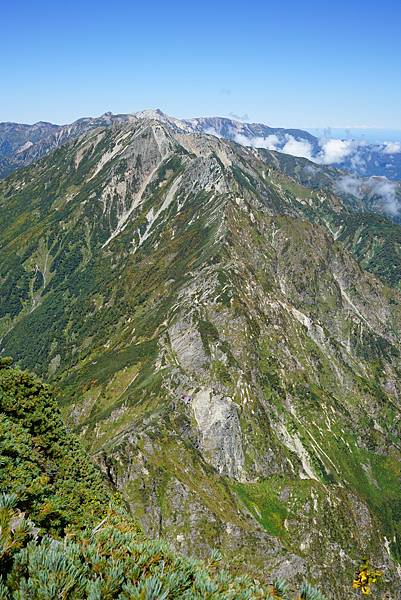 DSC00770.JPG DSC00770.JPG