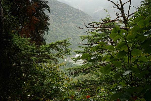 DSC00650.jpg DSC00650.jpg