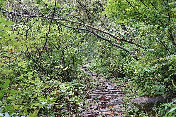 DSC00649.jpg DSC00649.jpg