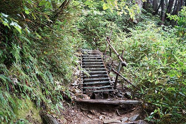 DSC00657.jpg DSC00657.jpg