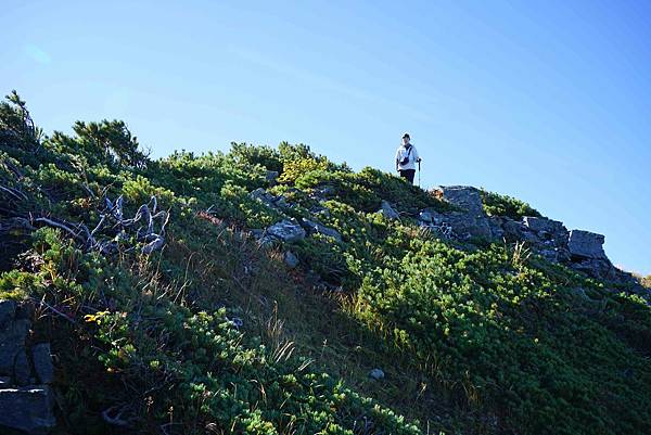 DSC00716.jpg DSC00716.jpg