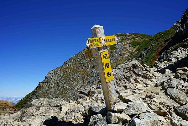 DSC00767.jpg DSC00767.jpg