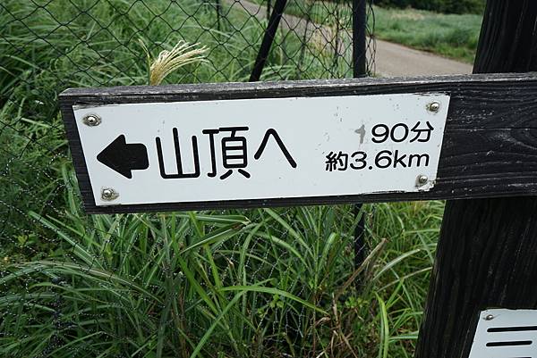 DSC01305.JPG DSC01305.JPG