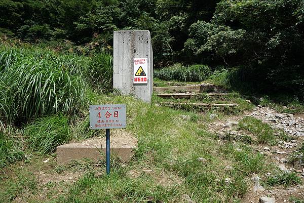 DSC01317.JPG DSC01317.JPG