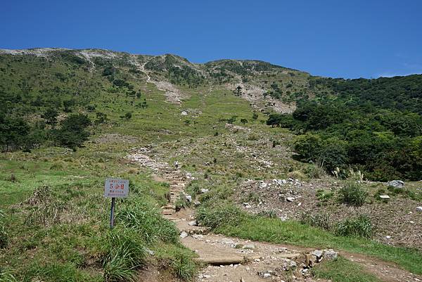 DSC01319.JPG DSC01319.JPG