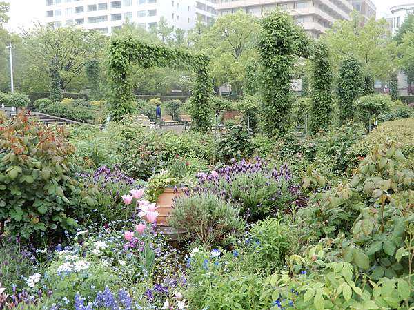4月下旬 5月上旬 日本春 花 朵朵開 山下公園 玫瑰 陳秋伶的部落格 痞客邦