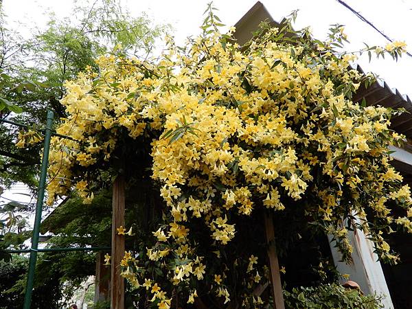 DSCN0431.JPG DSCN0431.JPG