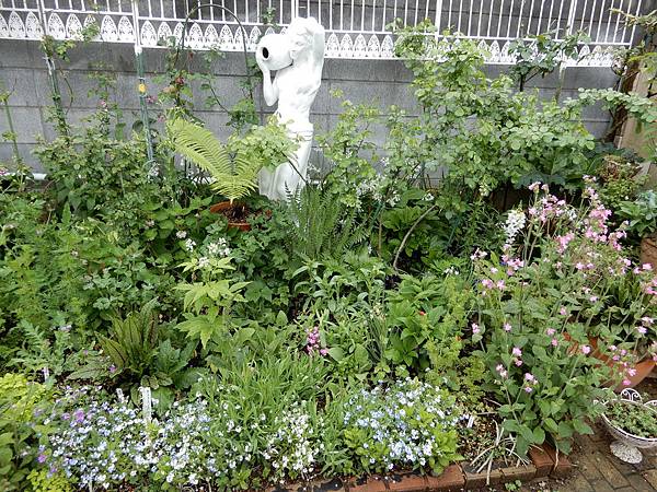 DSCN0493.JPG DSCN0493.JPG