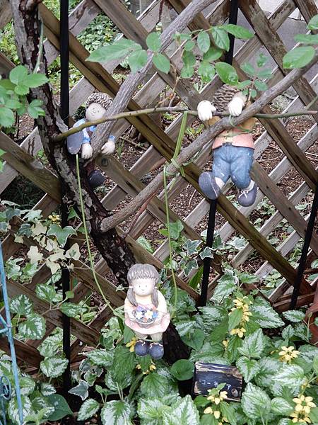 DSCN0683.JPG DSCN0683.JPG