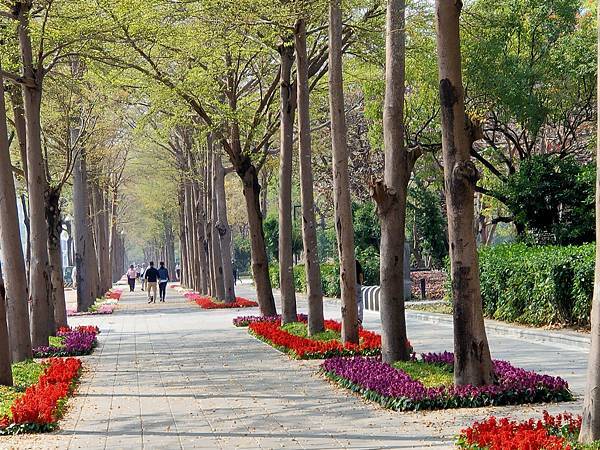 IMG20210301095937.jpg IMG20210301095937.jpg