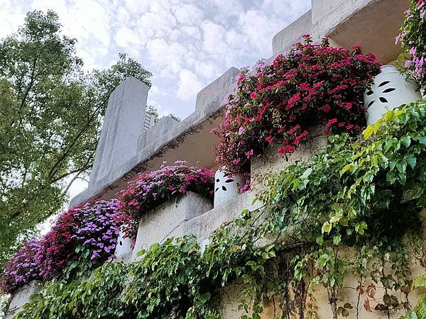 IMG20220421162325.jpg IMG20220421162325.jpg