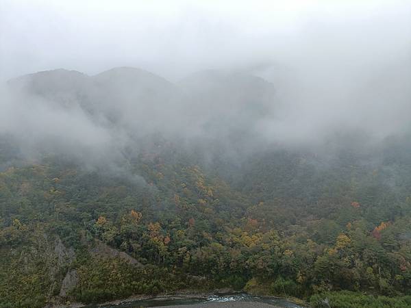 跟著色彩去旅行—福壽山農場   2023.12.4