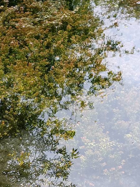 IMG20240301150716 - 複製.jpg