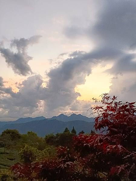 IMG20240505184013 - 複製.jpg