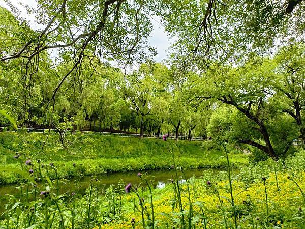 ”香坊區”, 哈爾濱起源地~ 哈爾濱之旅