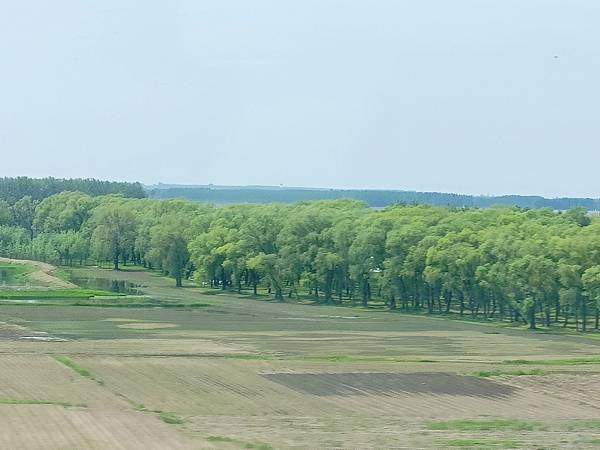 從哈爾濱搭高鐵-->大連, 1000公里4.5小時~~大連之 從哈爾濱搭高鐵-->大連, 1000公里4.5小時~~大連之