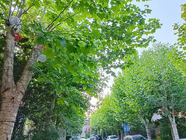 從哈爾濱搭高鐵-->大連, 1000公里4.5小時~~大連之 從哈爾濱搭高鐵-->大連, 1000公里4.5小時~~大連之